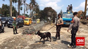 Anjing Pelacak Diterjunkan Endus Amunisi dan Korban Hercules