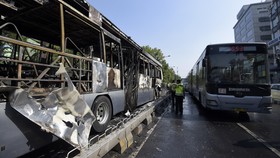Bus TransJakarta Terbakar, 12 Armada Sejenis Dikandangkan