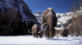 Ice Age 5: Penyelamatan Diri dari Hujan Meteor