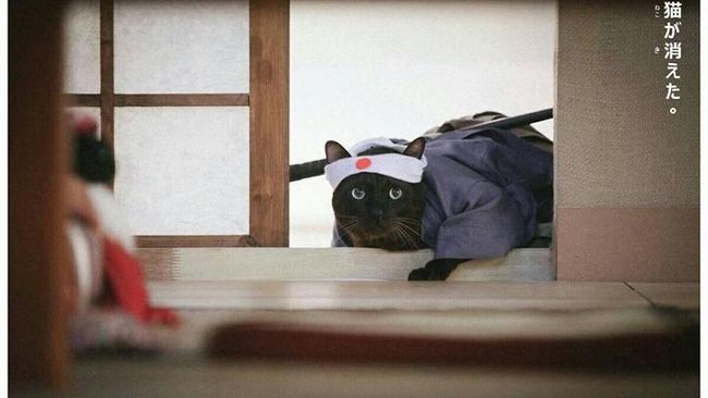 Sekalipun bukan pemeran utama, tetap saja kehadiran si kucing gendut menggemaskan yang paling ditunggu-tunggu.