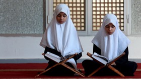 Parlemen Austria Sepakat Larang Jilbab Untuk Pelajar SD