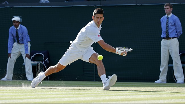 Petenis Serbia, Novak Djokovic, menang mudah atas Richard Gasquet dan merebut tiket ke partai final untuk merebut gelar Wimbledon keduanya.