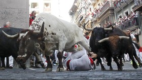 Turis Tewas Ditanduk dalam Festival Pacu Banteng di Spanyol
