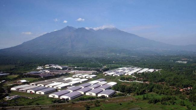 Sampoerna Rumahkan 7 894 Karyawan Karena Corona