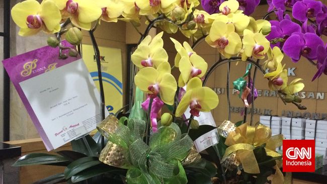 Dikirimi Anggrek Johan Budi Lapor Ke Direktorat Gratifikasi Temukan harga bunga anggrek bulan & anggrek hitam termahal per tangkai yang dijual di rawa belong dan lainya. dikirimi anggrek johan budi lapor ke
