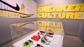 Jokowi dan Kepala Negara yang Menyukai Sneaker