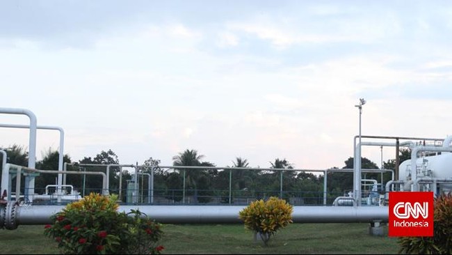 BPH Migas memiliki contoh catatan pola bisnis jual beli gas yang membuat harga ke konsumen melambung tinggi akibat praktik calo.