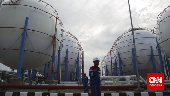 Pemerintah masih mempertimbangkan harga jual gas alam cair (Liquefied Natural Gas/LNG) yang akan digunakan untuk pembangkit listrik itu.