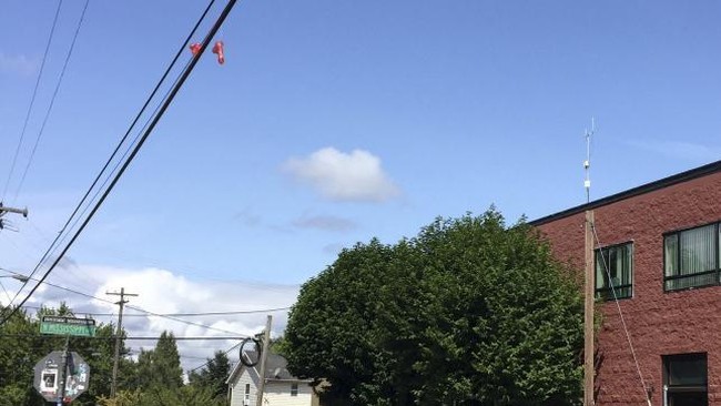 Penduduk dibuat bingung lantaran munculnya alat bantu seks atau dildo yang bergelantungan di kabel-kabel listrik di jalan-jalan besar Portland.