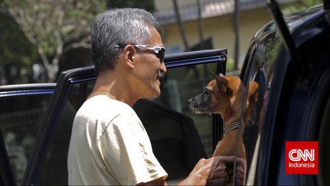 Pemilik mengantarkan hewan peliharaan anjing ditempat jasa penitipan hewan peliharan Pondok Pengayom Satwa Jakarta (PPSJ) Jalan RM Harsono, Ragunan, Jakarta Selatan, Rabu, 15 Juli 2015. Menjelang Lebaran jasa tempat penitipan hewan peliharaan anjing dan kucing mulai ramai dikunjungi warga seperti di PPSJ yang puncaknya har ini mulai berdatangan membawa hewan peliharaannya untuk dititipkan. CNN Indonesia/Adhi Wicaksono.