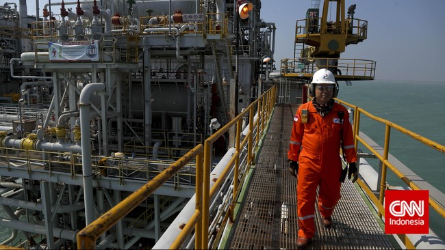 Dirut Pertamina, Dwi Soetjipto menilai pembukaan blok baru ini dimaksudkan untuk mencapai produksi 35 ribu barel per hari dari blok-blok kelolaan perusahaan.