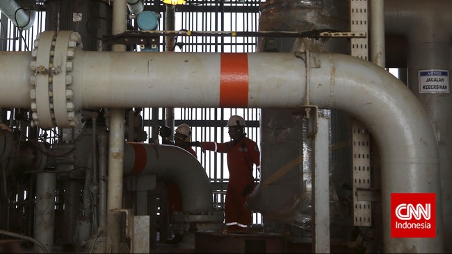 Pasalnya, pemangkasan harga gas bagi industri pupuk diikuti dengan pengalihan subsidi pupuk tahun depan yang besarannya juga sama.