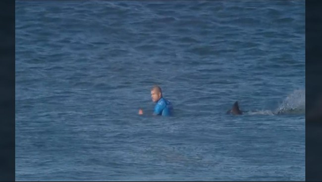 Seorang peserta kejuaraan selancar dunia, Mick Fanning, sempat melawan serangan seekor hiu dengan memukulnya sebelum akhirnya diangkat tim penyelamat.