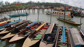 Harga Pertalite Solar Naik, Tarif Kapal di Kaltara Diatur SK Gubernur