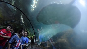 20 Tempat Wisata di Jakarta dan Sekitarnya untuk Anak Liburan Sekolah