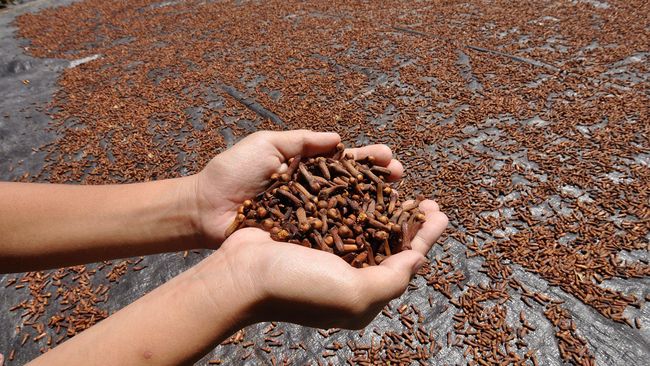 Rasa nyeri yang muncul sebaiknya tak selalu diatasi dengan obat penghilang sakit. Temukan obat-obatan alami di dapur Anda.