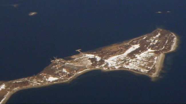 Untuk pertama kalinya, puluhan keluarga dapat melewati pagar batas kepulauan Hart Island, salah satu pemakaman kaum fakir miskin terbesar di Amerika Serikat.