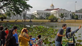 Mengenal Kebun Raya di Indonesia Selain Bogor dan Cibodas
