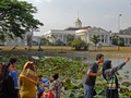 Tiket Masuk ke Kebun Raya Bogor & Cibodas Hanya Dijual Online