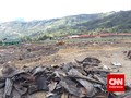 Tiga Orang Tewas Akibat Pertikaian Antar-warga di Tolikara