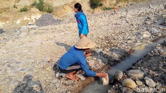 Fenomena El Nino diperkirakan akan menguat mulai Agustus. Kemarau di NTB dan NTT diperkirakan berlangsung hingga November.