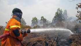 Kebakaran Lahan di Riau Masih Mengancam