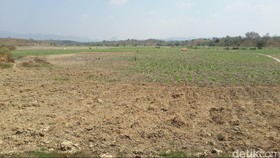 El Nino Menguat, Kemarau Diperkirakan Hingga November