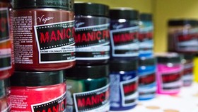 Tish dan Snooky, Kakak Beradik Punk Rock di Balik Manic Panic