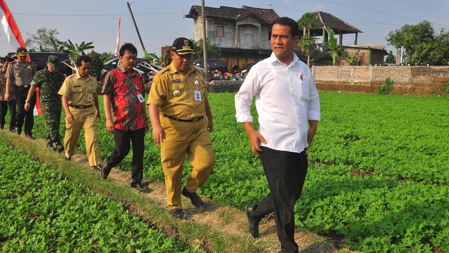 Menteri Pertanian Andi Amran Sulaiman bakal melibatkan mahasiswa untuk mengembangkan program cetak sawah satu juta hektare.