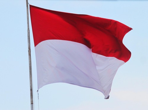 Sopir Truk Pasang Bendera One Piece, Sarbumusi Ajak Kibar Merah Putih
