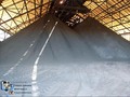 Produksi Tambang Freeport Cuma 60 Persen di Masa Transisi