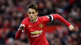 Tuchel Sebut Alasan Januzaj Gagal di Dortmund