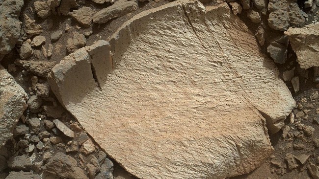 NASA membuktikan ada air di permukaan Mars. Namun, sejauh ini belum dibuktikan adanya kehidupan Mars pada masa lalu dan masa sekarang.