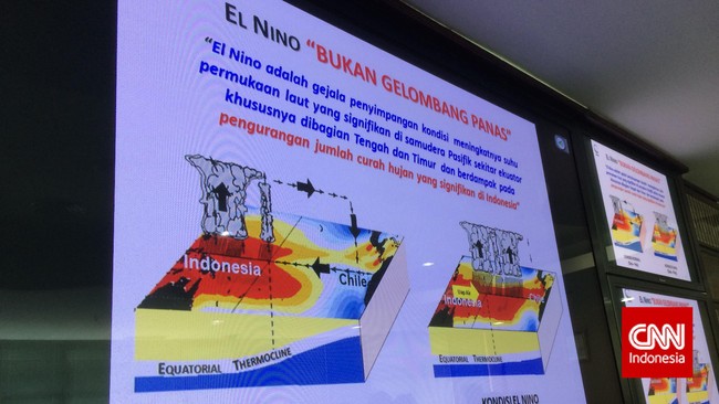 BMKG menilai, meski memiliki sejumlah dampak negatif, El Nino juga mempunyai efek positif yang dapat dimanfaatkan.