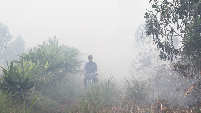 Kebakaran hutan dan lahan di Provinsi Riau masih luas. Untuk memadamkan api, hari ini BNPB melepaskan bom air dengan dua helikopter.
