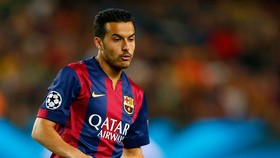 Guardiola Yakin Pedro Sukses Bersama Setan Merah