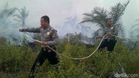 Kebakaran Hutan, Negara Dinilai Tak Berani Sentuh Korporasi