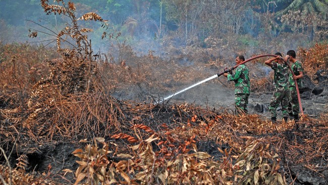 Menteri Dalam Negeri Tjahjo Kumolo menyatakan kebakaran hutan di Indonesia banyak diakibatkan oleh unsur kesengajaan manusia. Pemerintah harus tegas.
