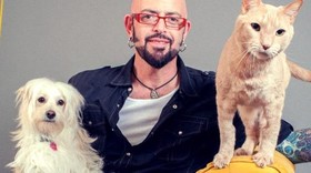 Resep Nutrisi Seimbang untuk Kucing dari Cat Daddy