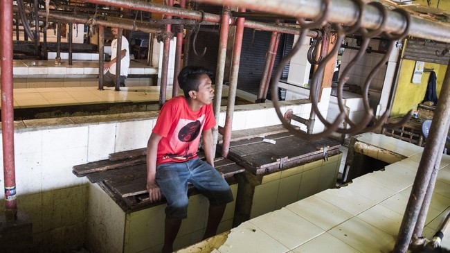 Polda Metro Jaya menyatakan jika menemukan para penimbun daging akan diproses hukum.