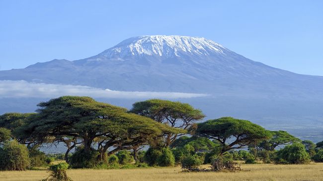 Nenek 85 Tahun Berhasil Daki Gunung Kilimanjaro