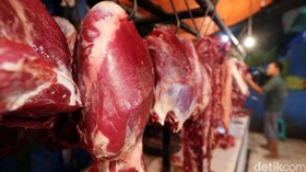 Ratusan Sapi yang Ditimbun Seharusnya Dipotong Sejak Lebaran