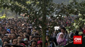 Istana Waspadai Pengangguran Picu Konflik Sosial saat Corona