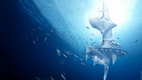 Tinggal di Kota Terapung Berbentuk Pari Manta Raksasa