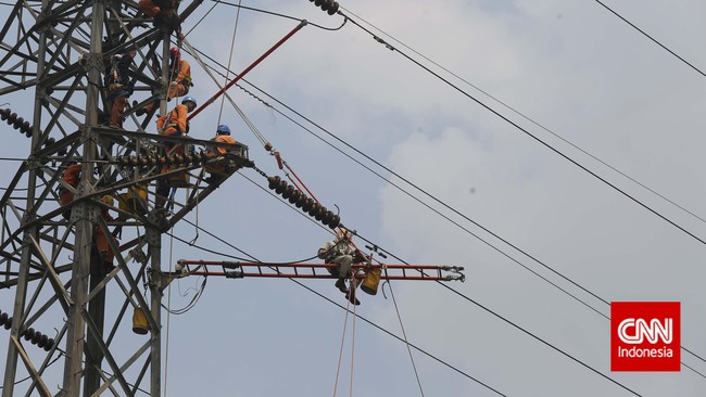 YLKI mewaspadai penerapan tariff adjustment listrik karena bisa menjadi batu loncatan untuk melakukan privatisasi PT PLN (Persero).