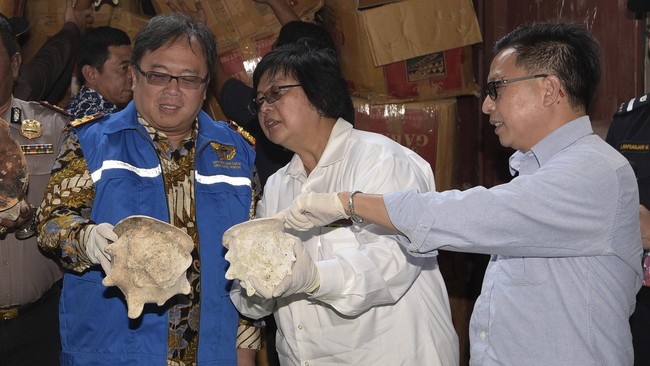 Cangkang kerang kepala kambing rencananya akan diekspor ke China dengan nilai Rp 20,44 miliar.