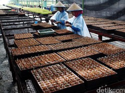 Apa Saja Contoh Produk Bioteknologi Modern di Berbagai Bidang? Cek di Sini