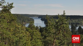 Pelestarian Hutan, Kunci Finlandia Hadapi Perubahan Iklim