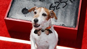 Si Imut Uggie dalam Kenangan Reese Witherspoon