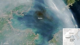 Roket China Jatuh ke Bumi, Timbulkan Gas Beracun